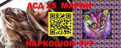 крисы Железногорск